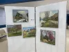 Salon des Arts 2021