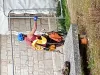 coq