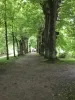 jardins fleuris 24