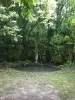 jardins fleuris 24