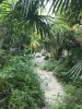 jardins fleuris 24